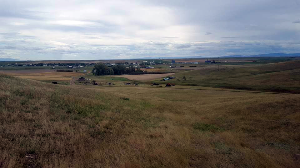 Harms Farms